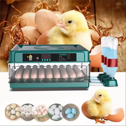 Automatic Egg Incubator with Turning and Temperature Control