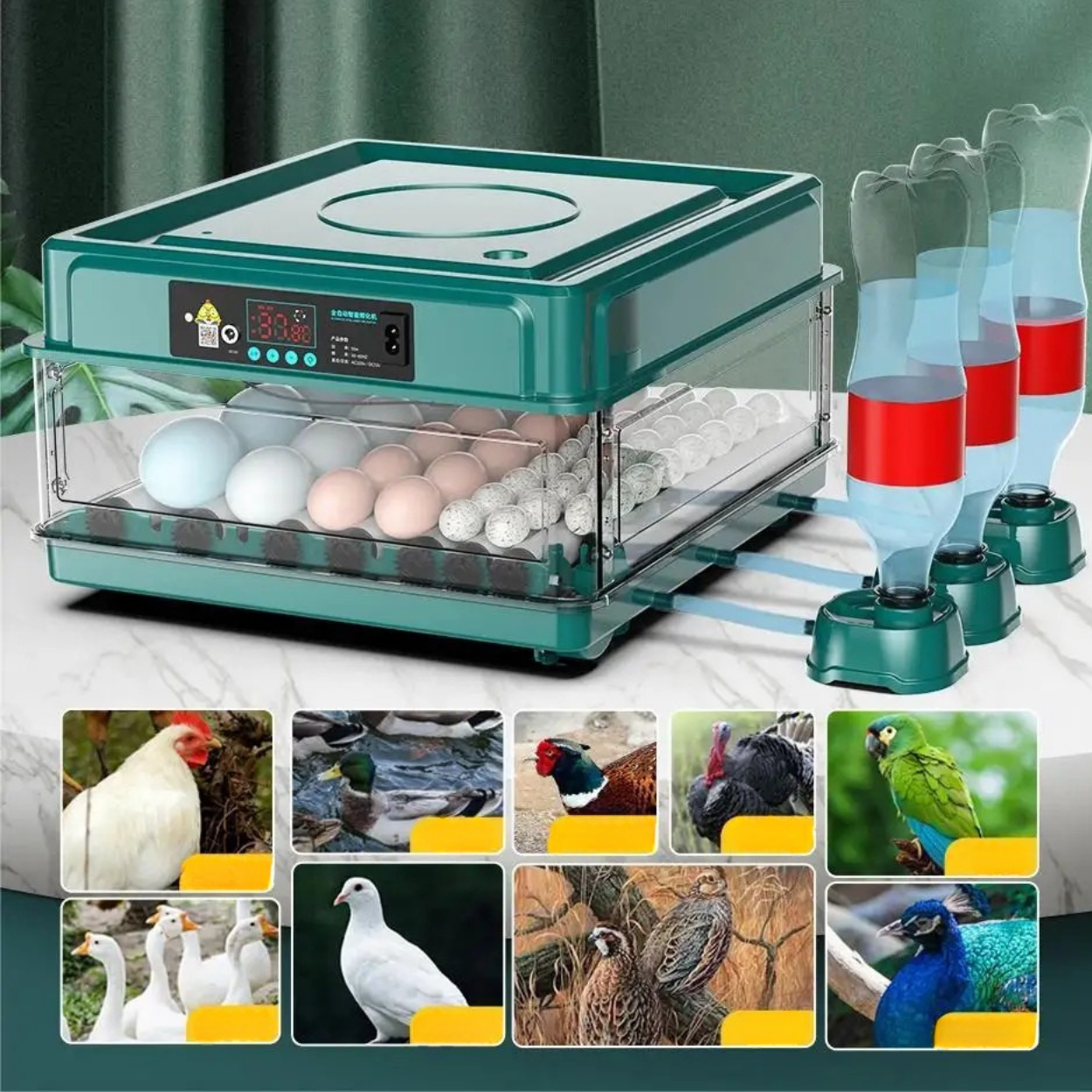 Automatic Egg Incubator with Turning and Temperature Control