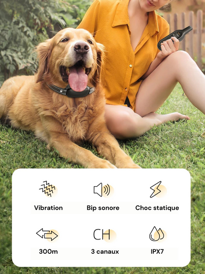 Marcherelle™ – Collier Electrique de Dressage Contrôle Précis Jusqu’à 1000 m