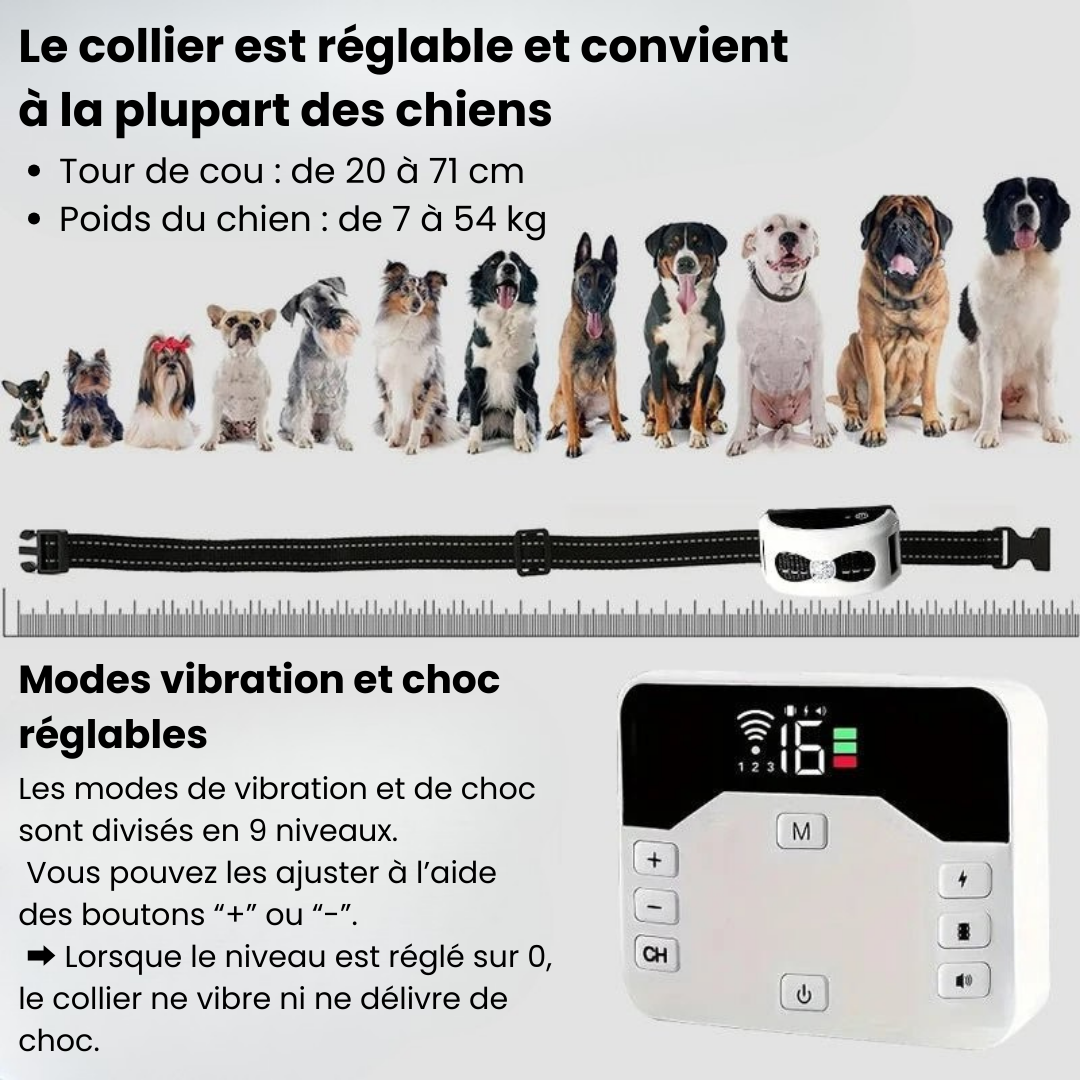 Marcherelle™ – Collier Electrique de Dressage pour Chien avec Zone de Sécurité Réglable