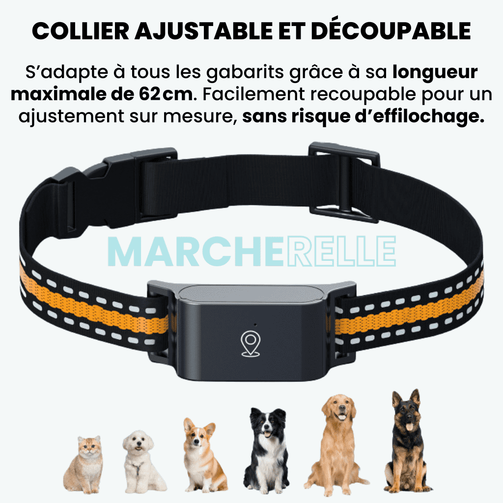 Marcherelle™ – Collier GPS Chat Sans Abonnement, Suivi en Temps Réel