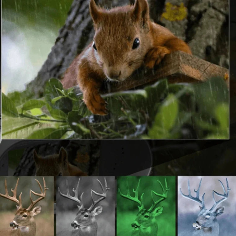 Marcherelle™ – Jumelles Vision Nocturne Infrarouge 300M avec Zoom 8X