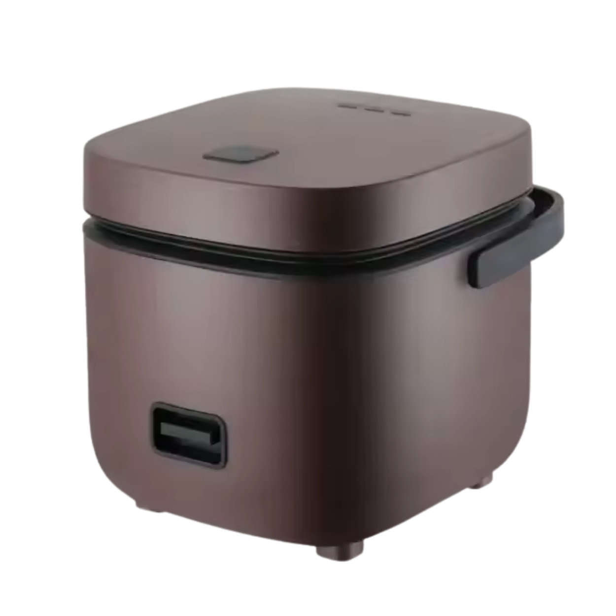 Compact and Automatic 1.2L Electric Rice Cooker